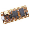 Mamporisika ny fanandramana FPGA ny birao fampandrosoana